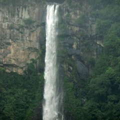 投稿日:2019年7月13日 写真