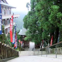 投稿日:2019年7月13日 写真