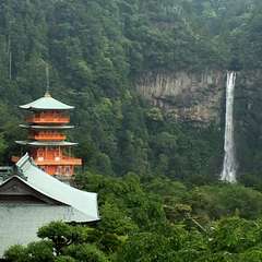 投稿日:2016年6月10日 写真