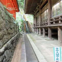 投稿日:2019年7月13日 写真