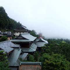 投稿日:2019年7月13日 写真