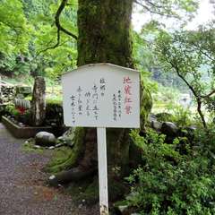 地蔵紅葉の歌(投稿日:2021年7月21日) 写真