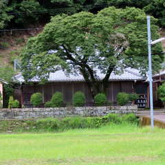 御本堂..(投稿日:2021年7月22日) 写真