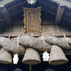 投稿日:2020年3月20日 写真