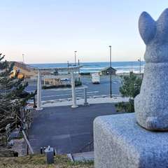 投稿日:2020年3月22日 写真