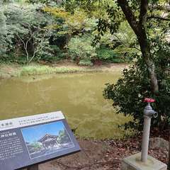 投稿日:2020年10月19日 写真