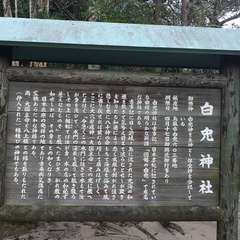 投稿日:2020年3月20日 写真