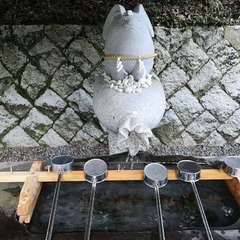 投稿日:2020年3月20日 写真