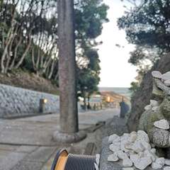 投稿日:2020年3月22日 写真