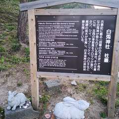 投稿日:2020年3月20日 写真