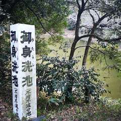 投稿日:2020年3月20日 写真