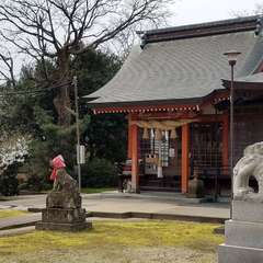 水木しげるの漫画にも登場しました。(投稿日:2019年4月9日) 写真