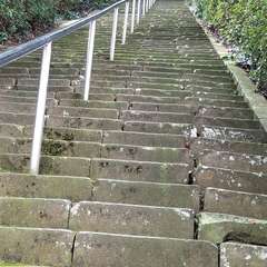 数百段の石段があります(投稿日:2019年4月9日) 写真