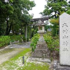 写真