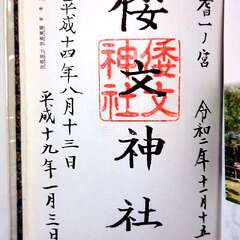 投稿日:2025年7月8日 写真