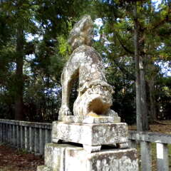 投稿日:2025年7月8日 写真