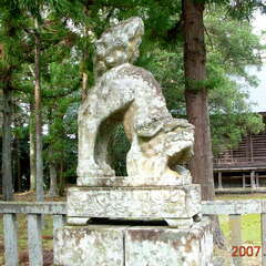 投稿日:2025年8月14日 写真