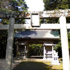 投稿日:2025年7月8日 写真