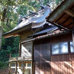 写真