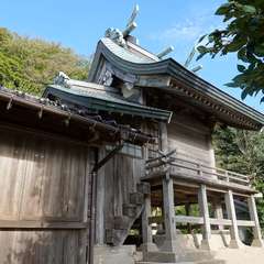 写真