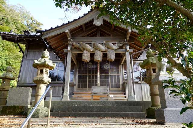 写真