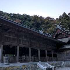 美保神社(投稿日:2025年11月23日) 写真