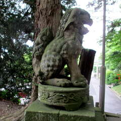 投稿日:2025年6月28日 写真