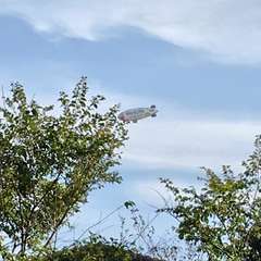 投稿日:2016年12月3日 写真