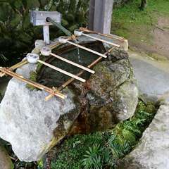 投稿日:2019年3月31日 写真