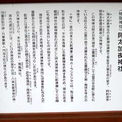 投稿日:2025年6月28日 写真