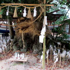 投稿日:2025年6月28日 写真