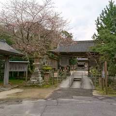 投稿日:2019年3月31日 写真