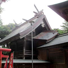 投稿日:2025年6月28日 写真