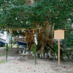 投稿日:2019年3月31日 写真
