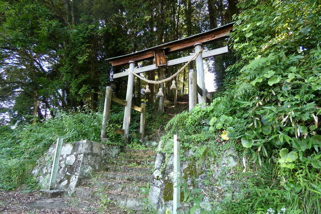 写真