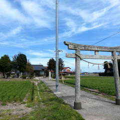 写真
