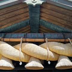 投稿日:2020年3月20日 写真