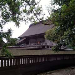 投稿日:2022年7月15日 写真