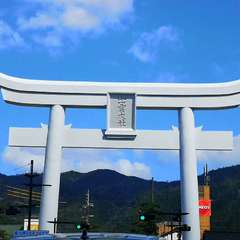 投稿日:2020年3月20日 写真