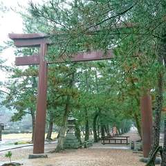 投稿日:2019年4月4日 写真