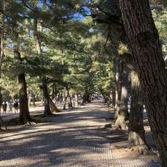 投稿日:2024年12月2日 写真