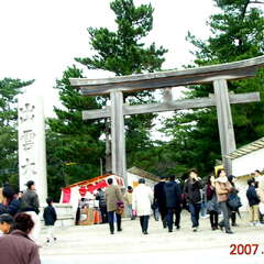 投稿日:2025年8月14日 写真