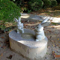 投稿日:2025年8月25日 写真