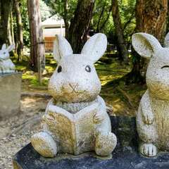 投稿日:2020年3月20日 写真