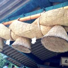 投稿日:2015年4月1日 写真