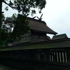 投稿日:2022年7月15日 写真