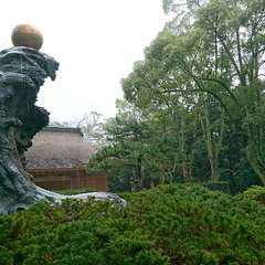 投稿日:2019年4月4日 写真