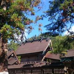 投稿日:2016年3月28日 写真