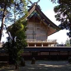 投稿日:2019年11月10日 写真