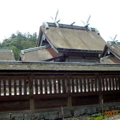 投稿日:2025年8月14日 写真